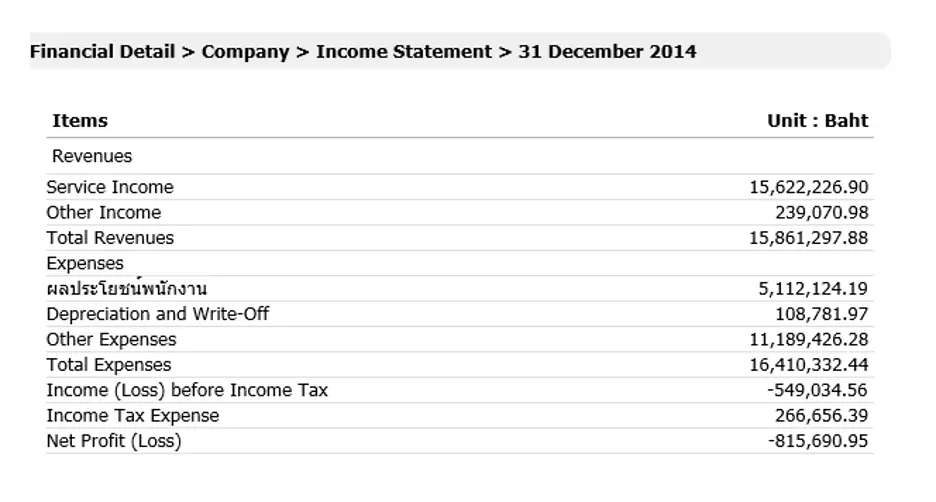 An Example of an Opus/Horton Financial Statement used in Court Case 624/2554.